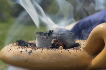 wielkanoc Zbychówka